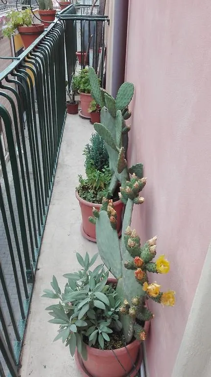 Apartmán La Casa Rosa Riposto Itálie